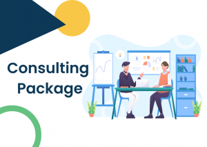 Consulting Package